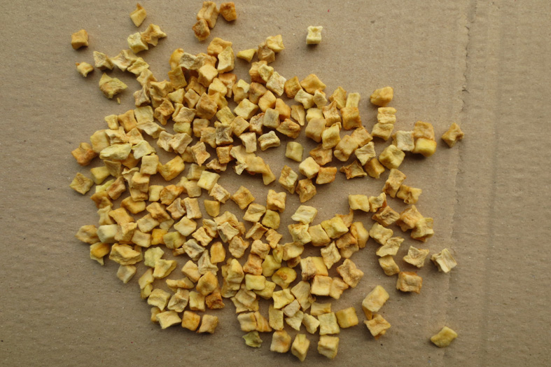 �t�o���O����